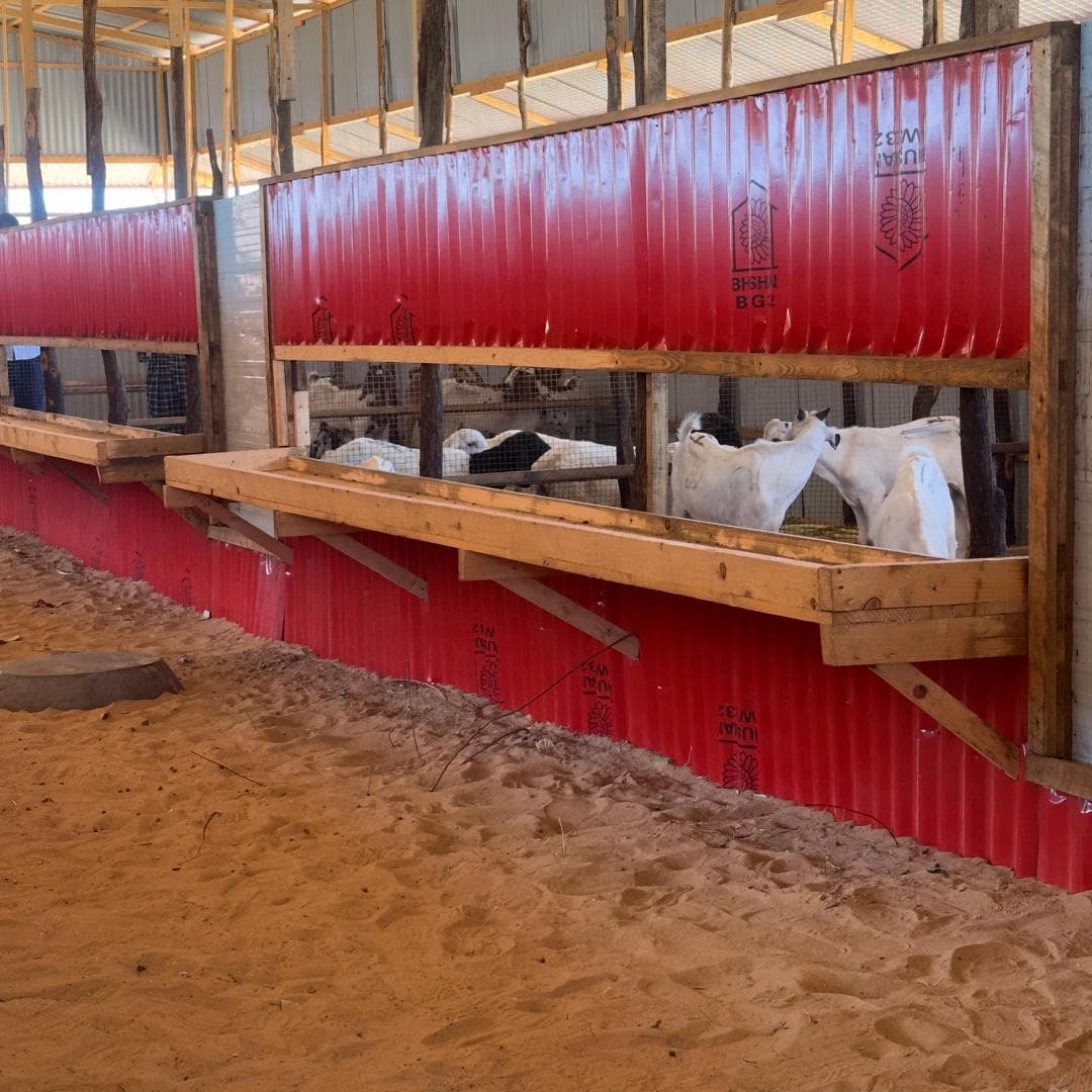 Active Herd Management