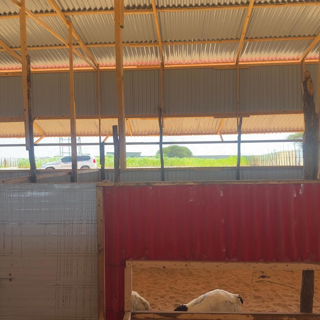 Inside the Barn